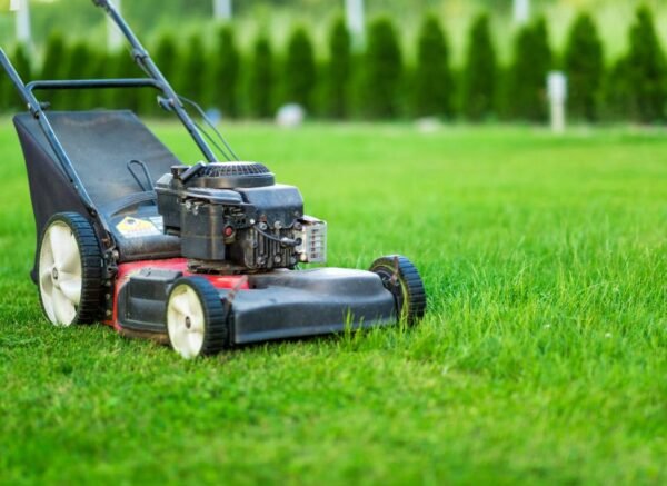 Monthly Lawn Mowing
