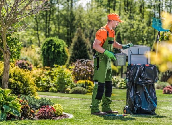 Spring & Fall Clean Up
