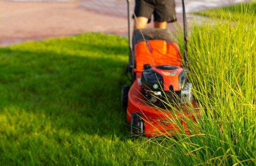 lawn-mowing-services-in-ottawa