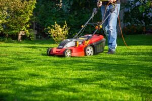 monthly-lawn-mowing-service