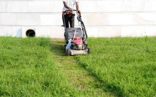 professional-lawn-mowing