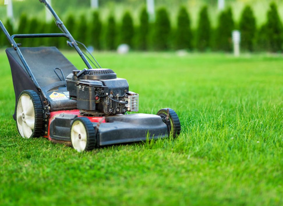 Lawn Mowing