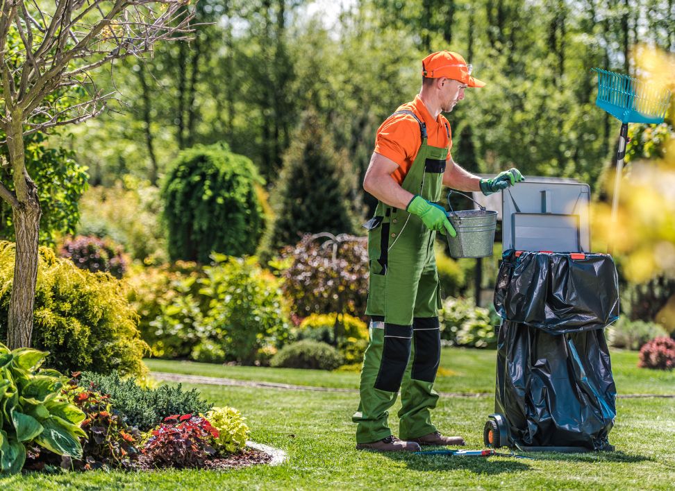 Spring and Fall Clean Up